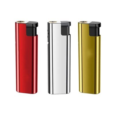 Briquet à Jet à Flamme Bleue avec Coque D.lique, Résistant au Vent, Accessoires de struction ée pour Camping en Plein Air, Renard, Nouvelle Collection 2023