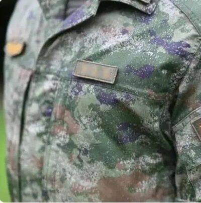 21734-9f0016.jpg Uniforme militaire chinois de printemps, camsalomon numérique, vert trempé, pantalon inclus