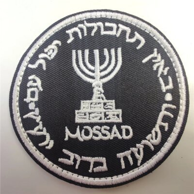 Brassard Sensation Israël Broderie, DulPatch Grill Punisher, Brassard Armée, Emblème Crochet et Boucle, Moral Skip Danemark ge, 1Pc