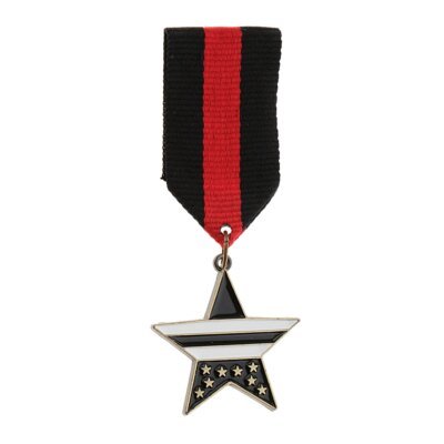 Broche insigne en tissu rayé pour hommes, couronne, étoile, médaille, uniforme Milirtay, corsage, chemise trempée, col, pompon, revers, broche
