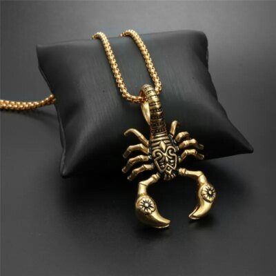 28504-f75a80.jpg Collier pendentif insecte gothique vintage pour homme et femme, acier inoxydable, scorpion