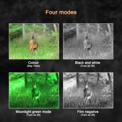 lunette de vision nocturne pour casque G1